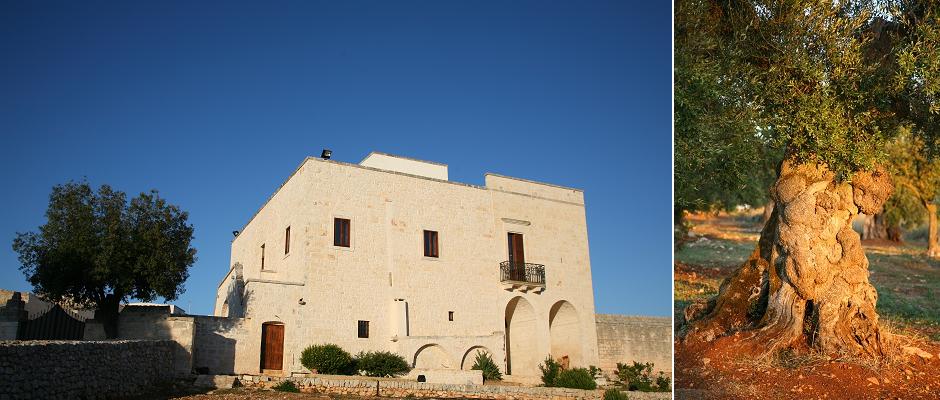 Apulia bed & breakfast